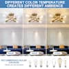 TOZING 16 in. 4-Light Modern Sputnik Gold Ceiling Light
