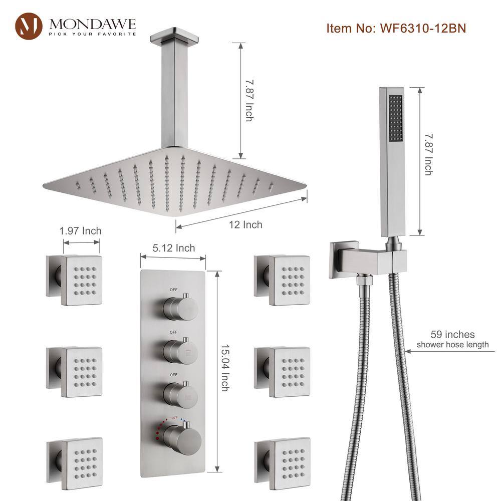 Brushed Nickel Ceiling Mounted Rain Shower System with Handheld and Body Jets