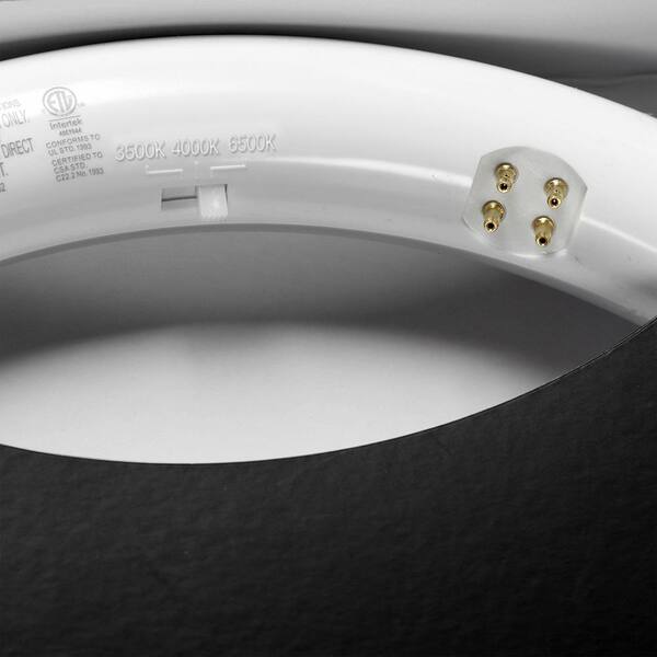thumbnail image 2 of Feit Electric FC8T9/CW 8-Inch Circular Fluorescent Light Bulb - 22W Cool White 2 of 2