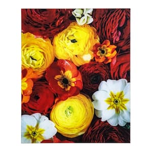 Tempered Glass Series "Persian Buttercups" by Veronica Olson Unframed Nature Photography Wall Art 20 in. x 16 in.