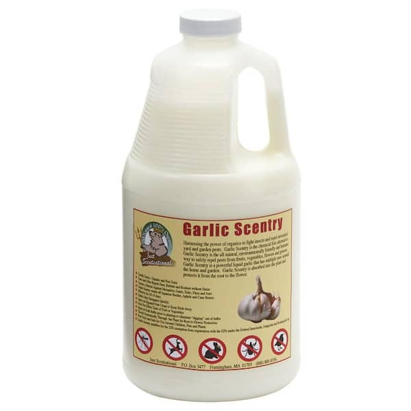 Just Scentsational 64 oz. Garlic Scentry Concentrate