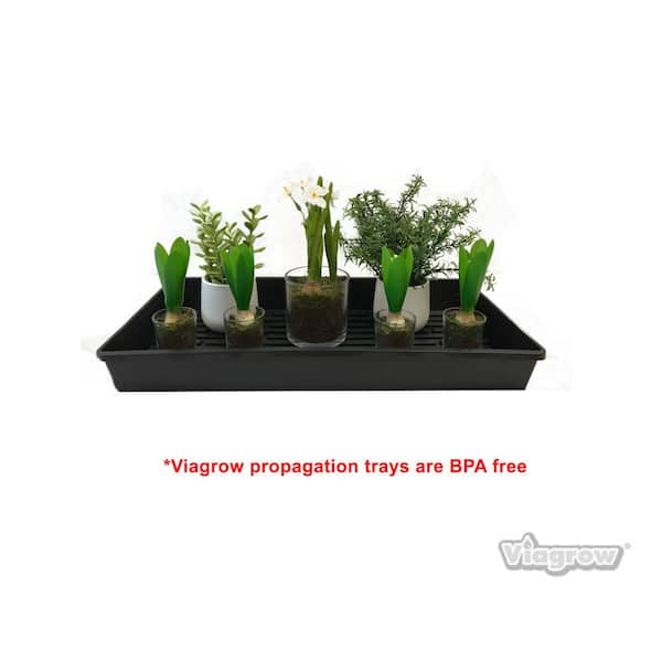 Microgreen Trays: Super Strong, Long Lasting seedling and plant