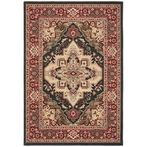 Mahal Navy/Red 8 ft. x 11 ft. Border Geometric Medallion Floral Area Rug