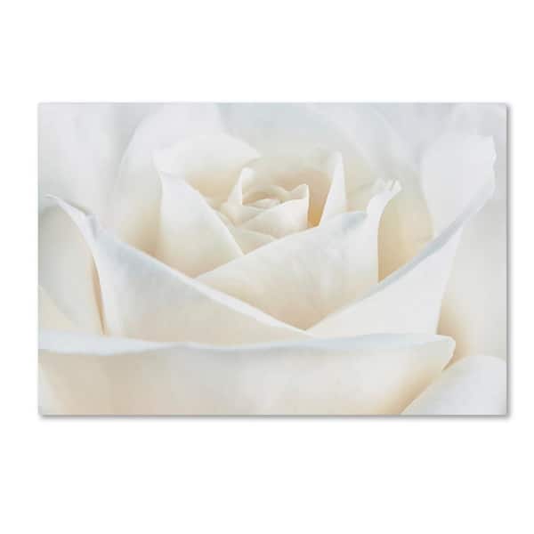 Trademark Fine Art 16 in. x 24 in. "Pure White Rose" by Cora Niele Printed Canvas Wall Art