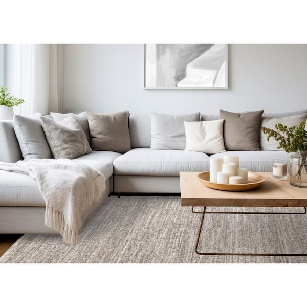 Botaniq Collections 5 ft. x 8 ft. Grey Distressed, Tonal/Solid Indoor Area Rug