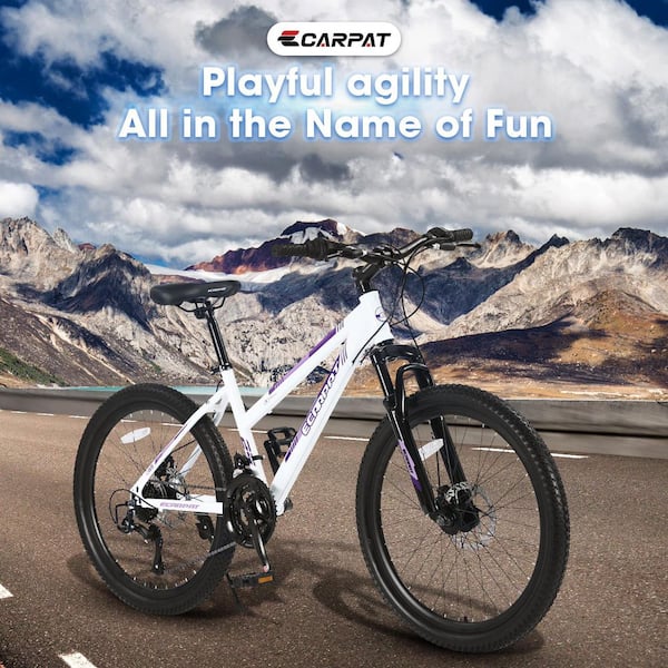 Tenleaf 26 in. Steel Frame Mountain Bike Shimano 21 Speeds