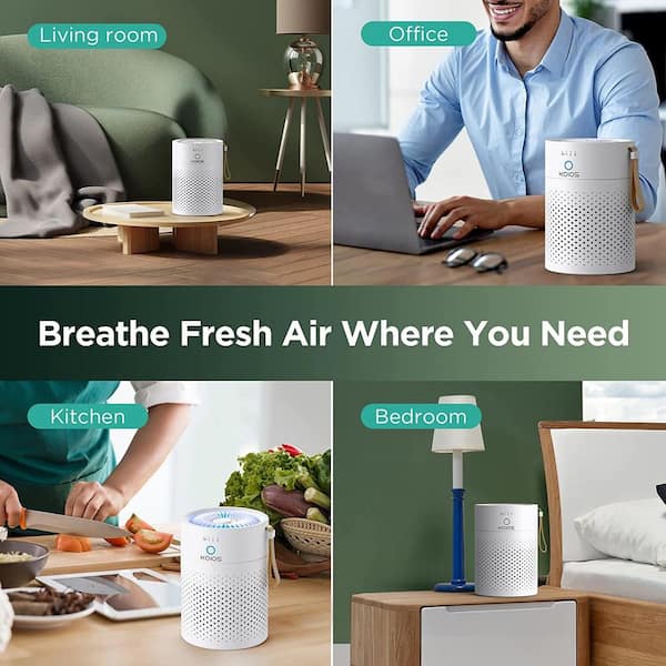 Portable room air cleaners deals with hepa filters