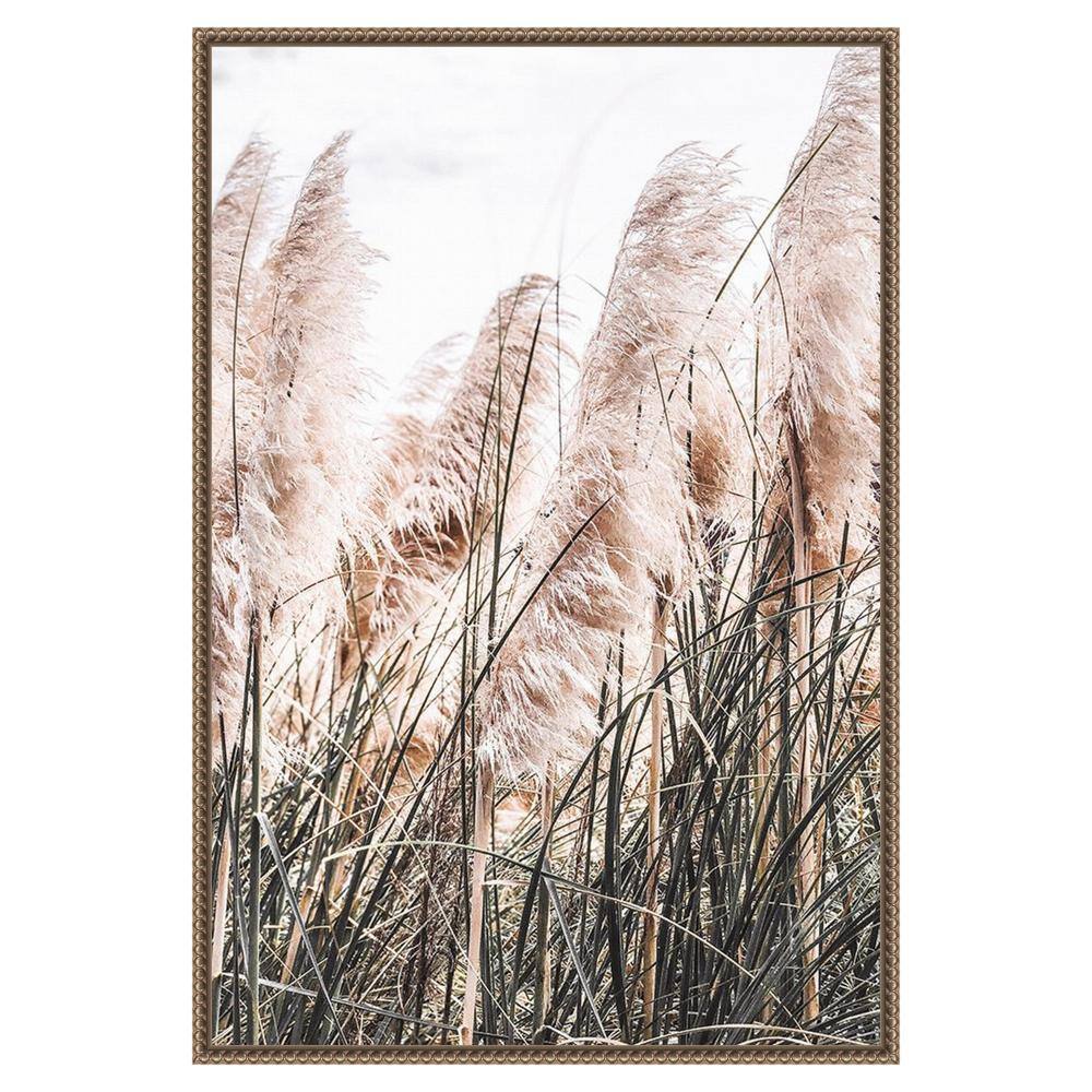Pampas Grass Photography on Canvas with Bronze Frame
