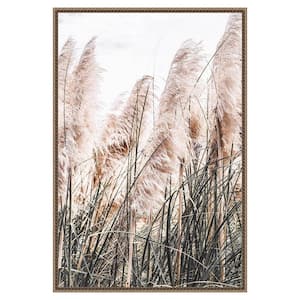 "Pampas Grass" by Incado 1-Piece Floater Frame Giclee Nature Canvas Art Print 33 in. x 23 in.