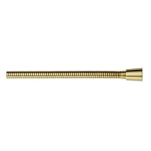 Stretchable 60 in. to 82 in. Metal Handshower Hose in Polished Brass