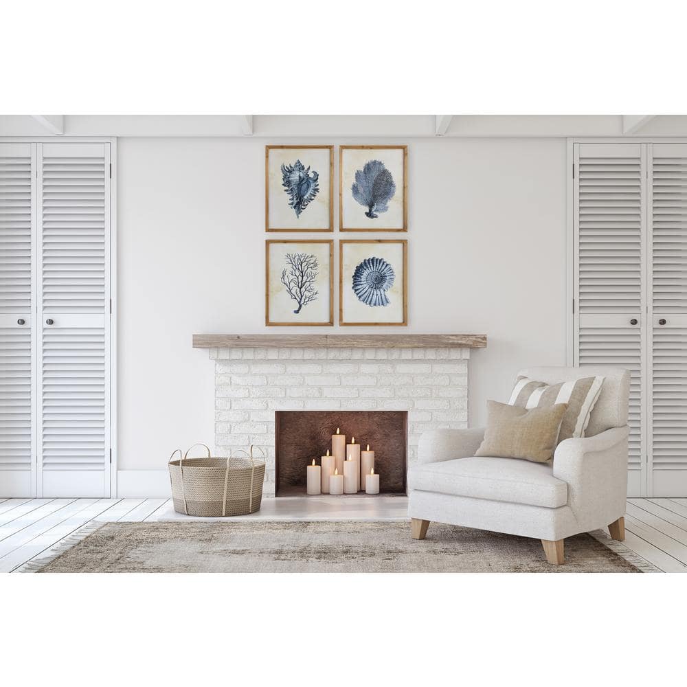 Blue Shells and Coral Wood Framed Wall Art Set