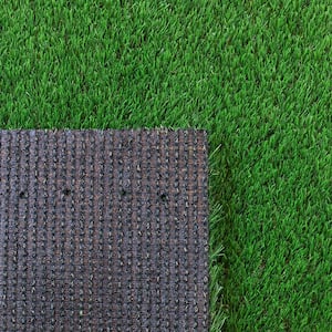 Fescue Multipurpose 12 ft. Wide x Cut to Length Green Artificial Grass Turf