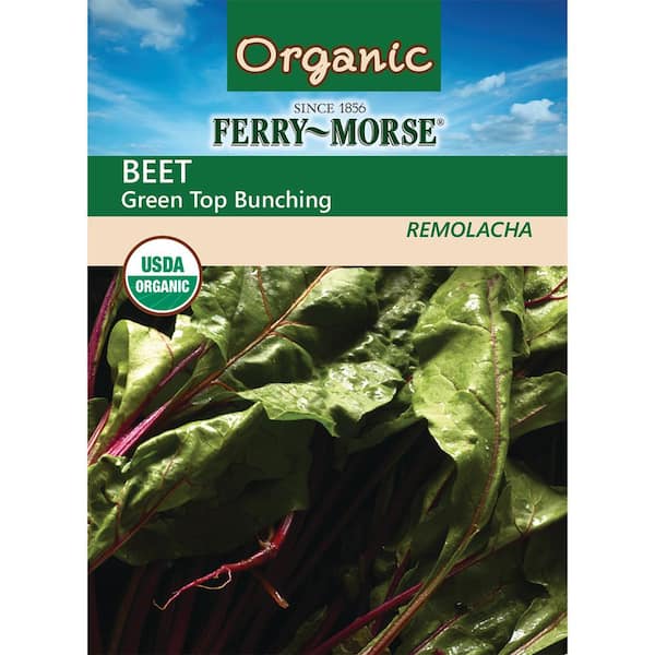 Ferry-Morse Organic Beet Green Top Bunching Vegetable Seed