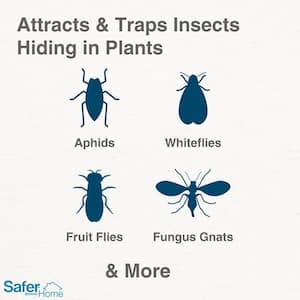 Houseplant Sticky Stake Insect Traps for Indoor Plants - Traps Aphids, Whiteflies, Fruit Flies, Fungus Gnats (16 Traps)