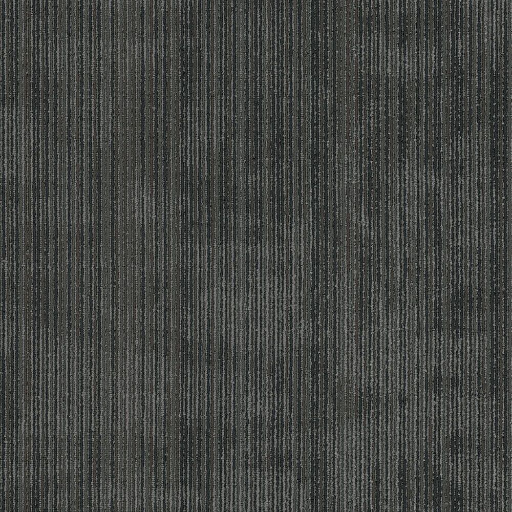 Seve-Serpent-Black Commercial/Residential 24 in. x 24 in. Glue-Down Carpet Tile Square (80 sq. ft.) price history on PriceWatchPro