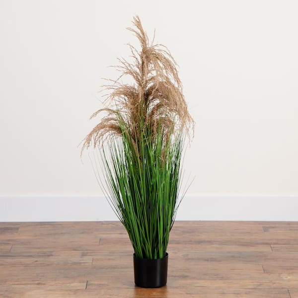 PAMPAS GRASS by Luxe B Pampas Grass 2024 4ft Type 8 Natural