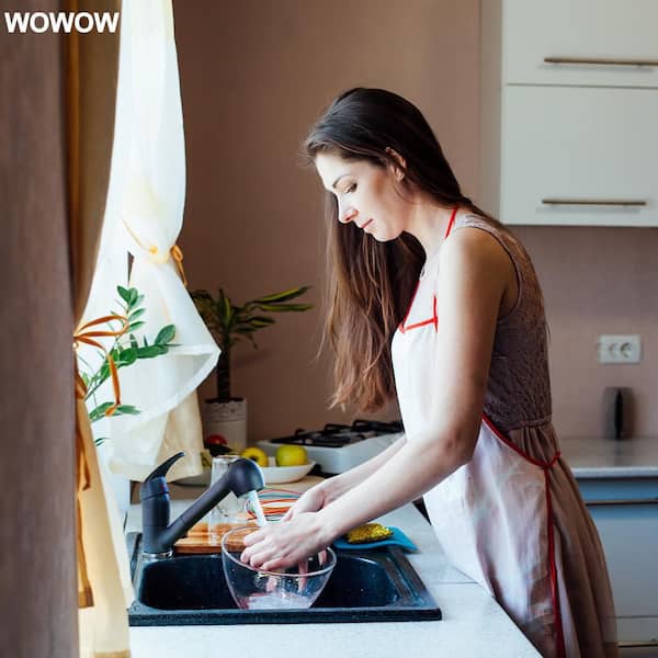 Single-Handle Pull Out Sprayer Kitchen Faucet with Deckplate Included Supply Lines in Black Quartz