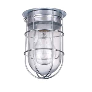 All Weather 1-Light Pewter Outdoor Ceiling Mount with Clear Glass