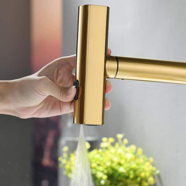 Modern Single Handle Single Hole Pull Out Sprayer Kitchen Faucet Stainless Steel in Brushed Gold