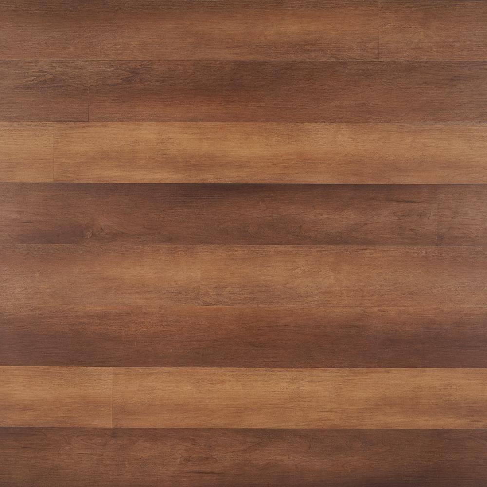 Take Home Sample - Birch Meadow Waterproof Rigid Core Click-Lock Luxury Vinyl Plank Flooring - 6 in. x 8 in. price history on PriceWatchPro