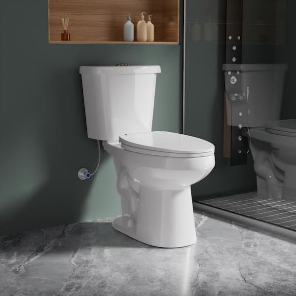 ADA 2-Piece Elongated Toilet 17 in. Comfort Height in White Dual Flush 1.1/1.6 GPF with Quick Release Soft Close Seat