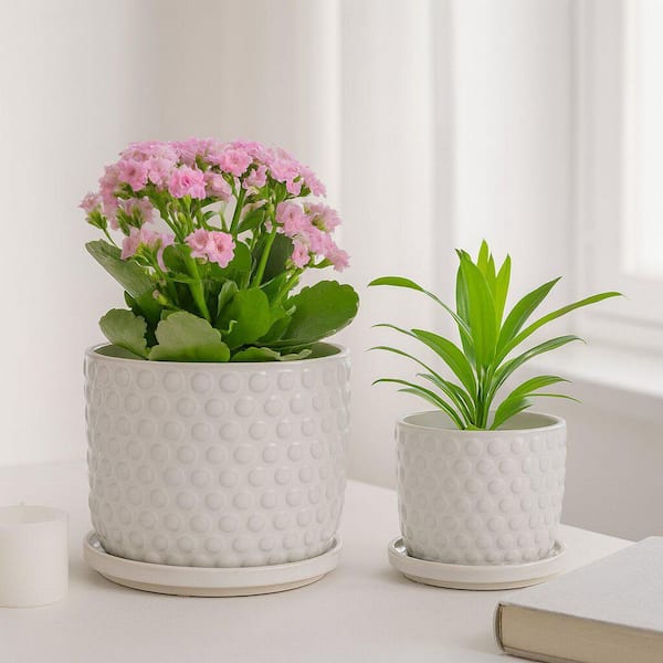 small seed planter Mini Seedmaster – Pinetree Garden Seeds main image 1