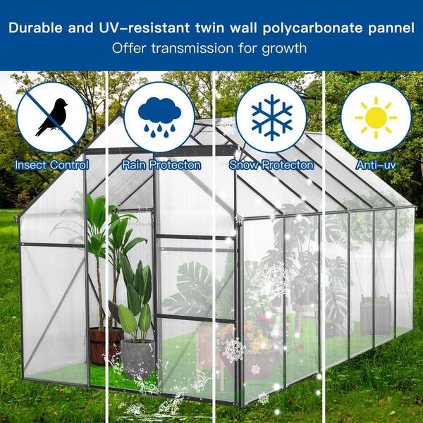 6 ft. W x 12 ft. D Aluminum Polycarbonate Walk-in Greenhouse with