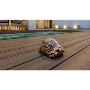 Infinity IS 1 in. x 6 in. x 8 ft. Tiger Cove Brown Composite Starter Deck Boards (2-Pack)