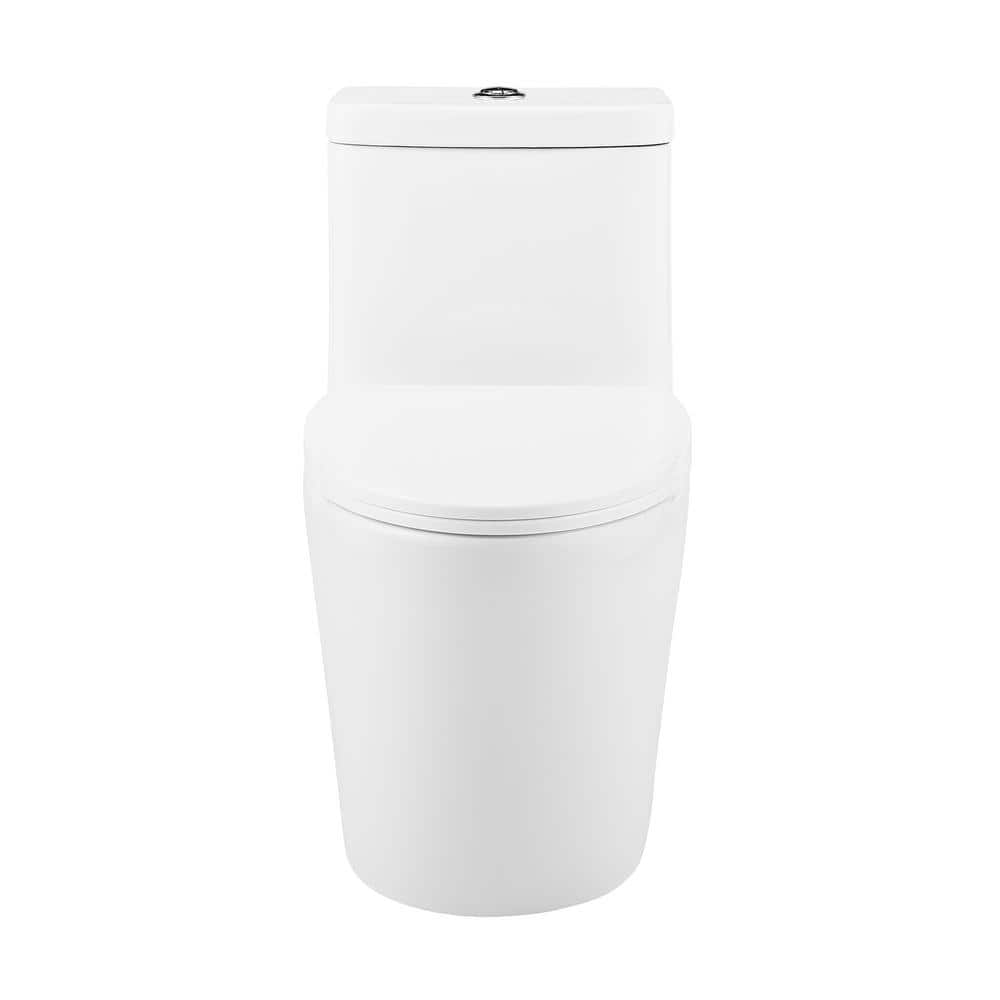 Fulton Glossy White Ceramic One-Piece Elongated Dual-Flush Toilet