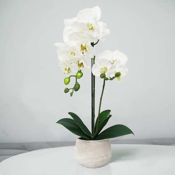 LIVING LUXURY 20 in. White Artificial Phalaenopsis Orchid Flower Arrangement in Clay Pot