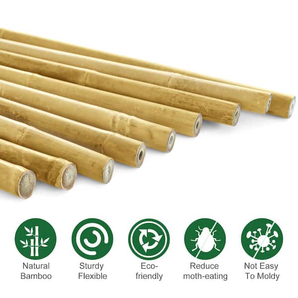 5FT Bamboo Garden Canes Strong Natural Thick Quality Stakes Plant