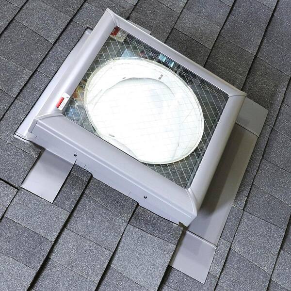 TARP GLASS solworks ver. 2個セット TARP GLASS solworks ver. | solworks