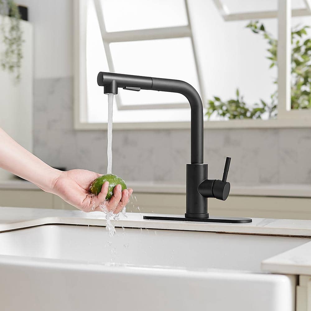 Matte Black Stainless Steel Pull-Out Spray Kitchen Faucet