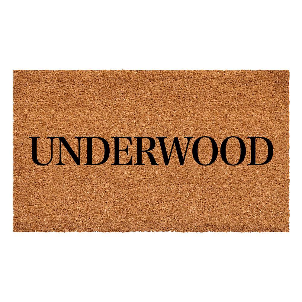Bold Underwood Multi-Colored 24 in. x 36 in. Indoor or Outdoor Doormat price history on PriceWatchPro