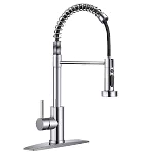 Single Handle Pull Down Sprayer Kitchen Faucet with Deckplate, Pull Out Spray Wand in Polished Chrome