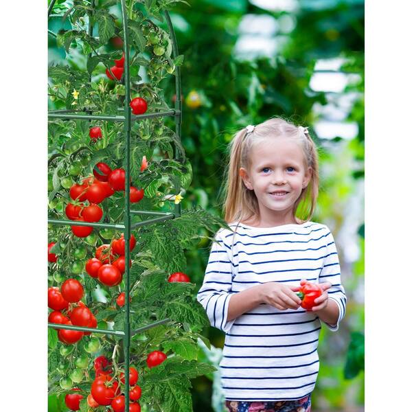 70 in. Garden Obelisk Rustproof PE Coated Metal Potted Plant