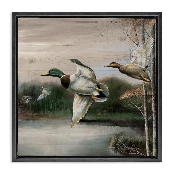 Flying Ducks in Rustic Nature by Ruane Manning Black Floater Frame Animal Graphic Art Print 25 in. x 25 in.