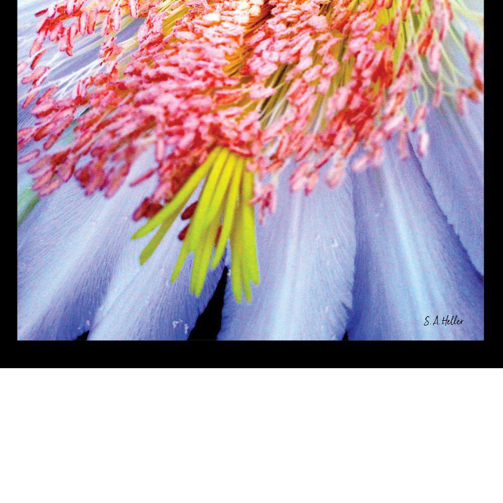 Vibrant Floral Sports Print Framed for Kids, 18" x 14"