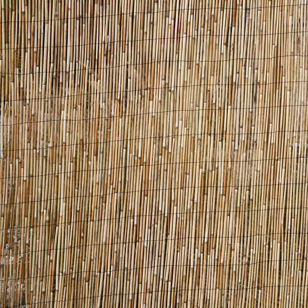 Natural Jumbo Reed Bamboo Garden Fence Screen 6 ft H x 16 ft L