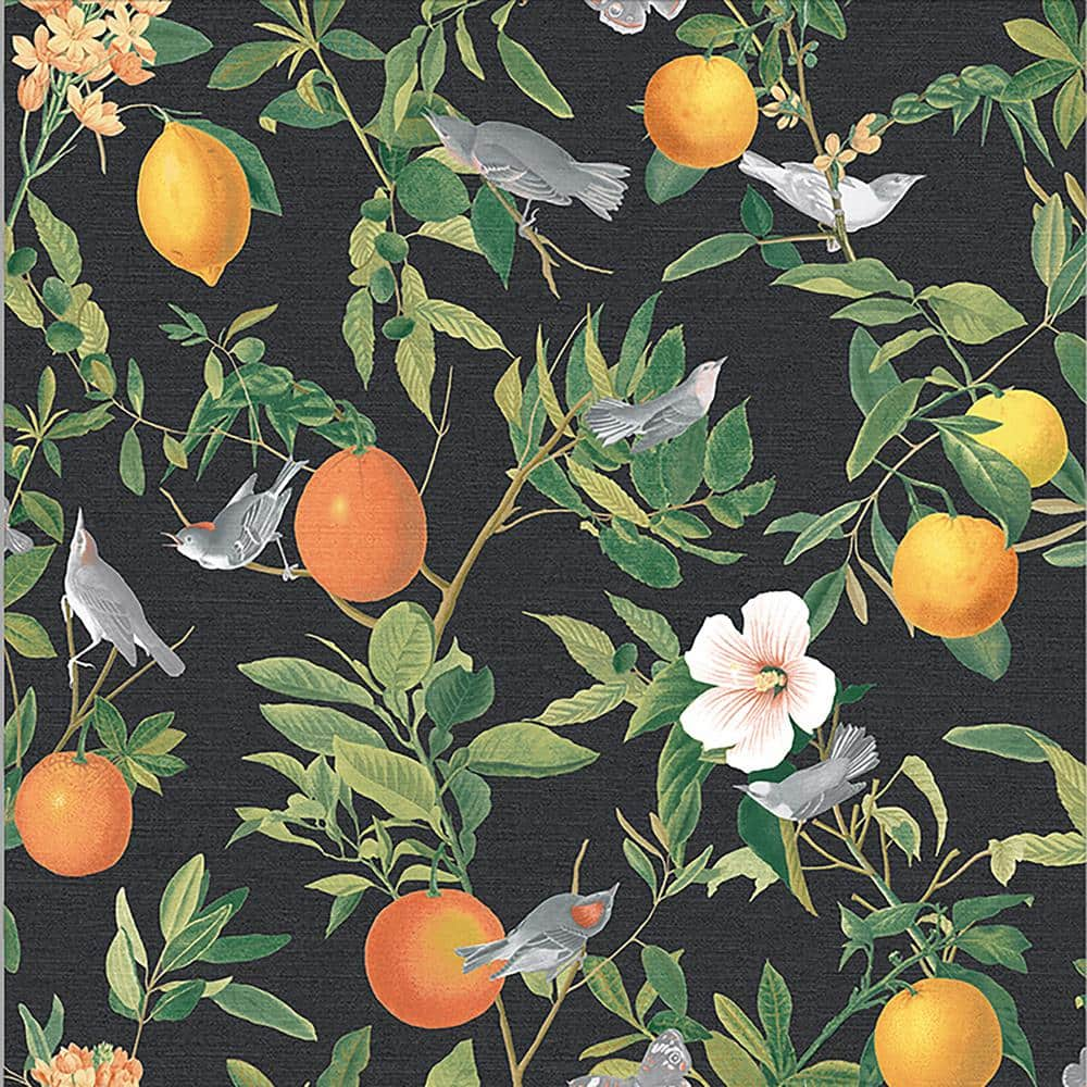 Graham & Brown Amalfi Umore Black Removable Wallpaper Sample 10564294 ...