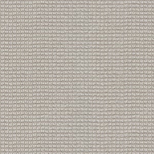 Lyrical Color Duncan Gray 38 oz. Nylon Pattern Installed Carpet