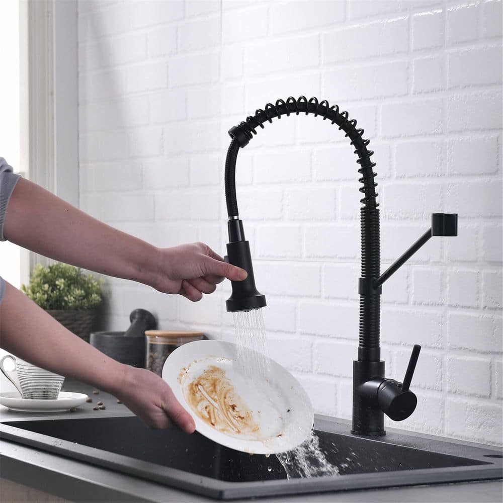 Matte Black Brass Pull-Down Kitchen Faucet with Spray