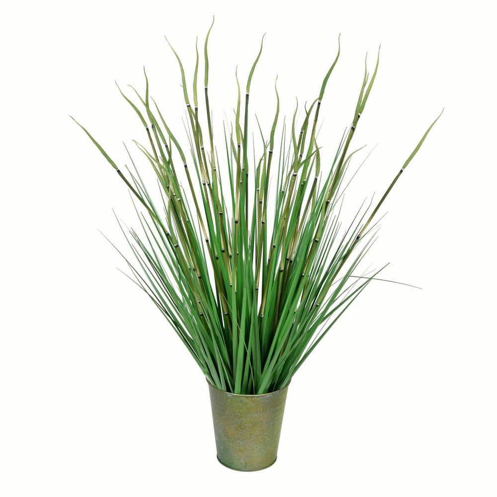 28" Green Reed Grass in Decorative Iron Pot