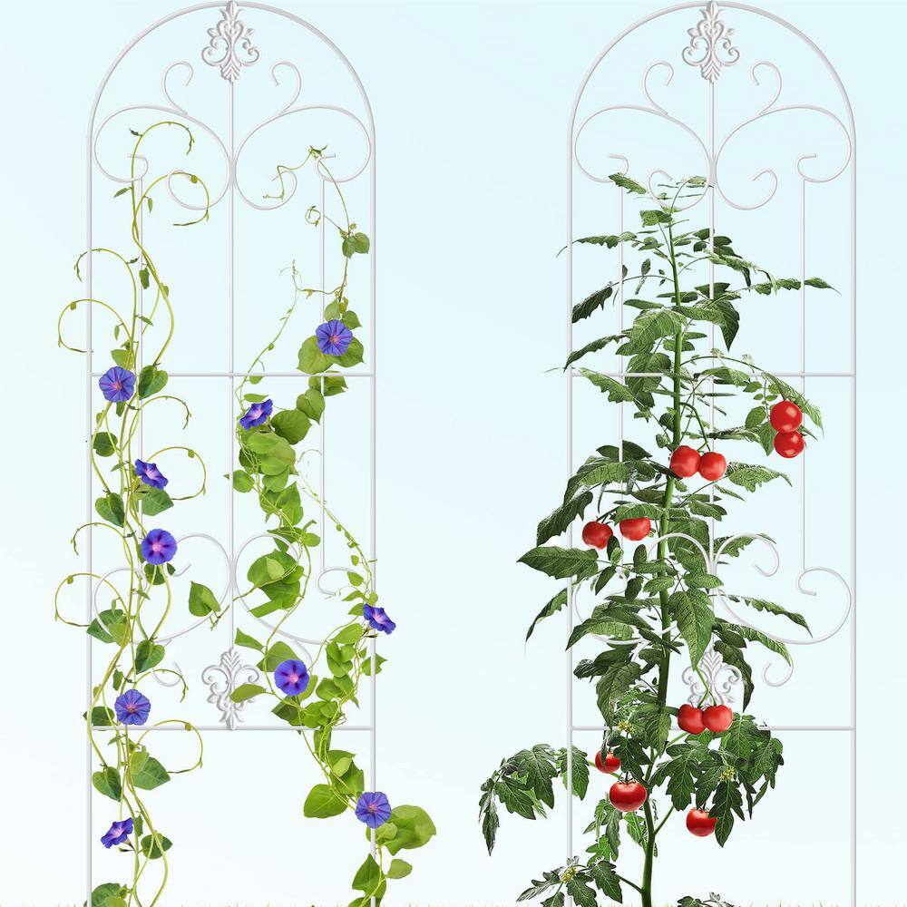 60 in. Iron Garden Trellis (Set of 2) price history on PriceWatchPro