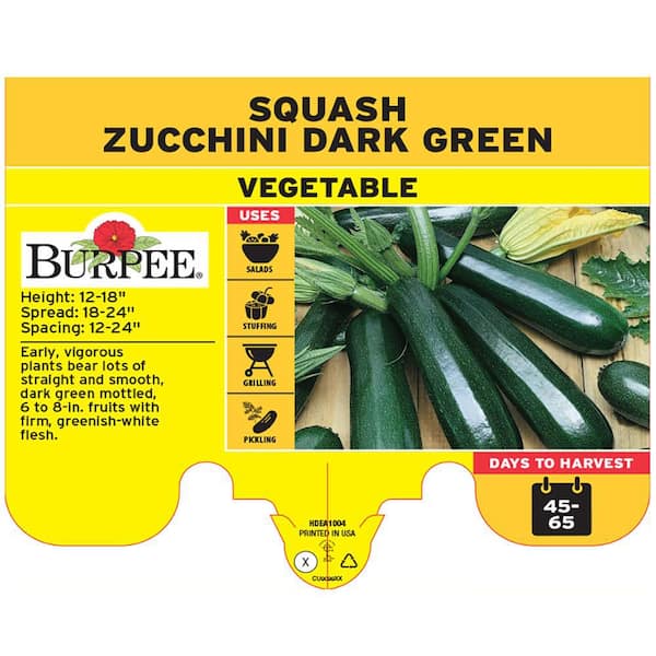Burpee PINT ZUCCHINI PLANT DARK GREEN-3 PACK 4804P2 - The Home Depot