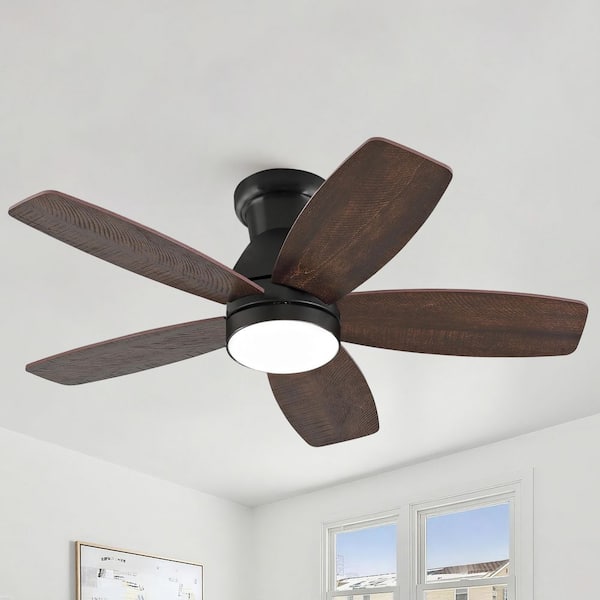 32 in. Black 5 Plywood Blades Flush Mount Ceiling Fan with LED Light and Remote Included