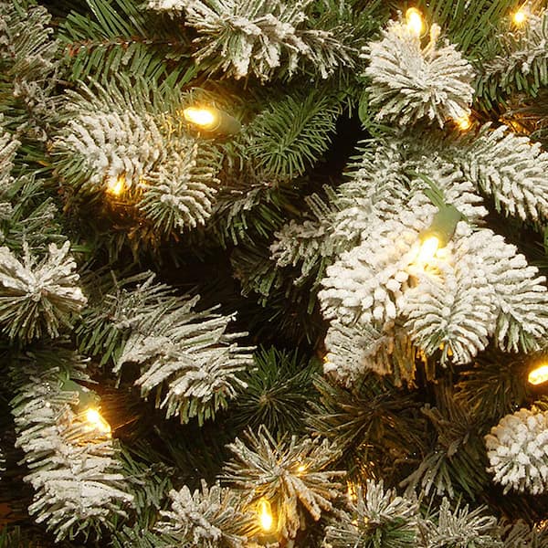 7.5 ft. Northern Frasier Fir Artificial Christmas Tree with Clear Lights