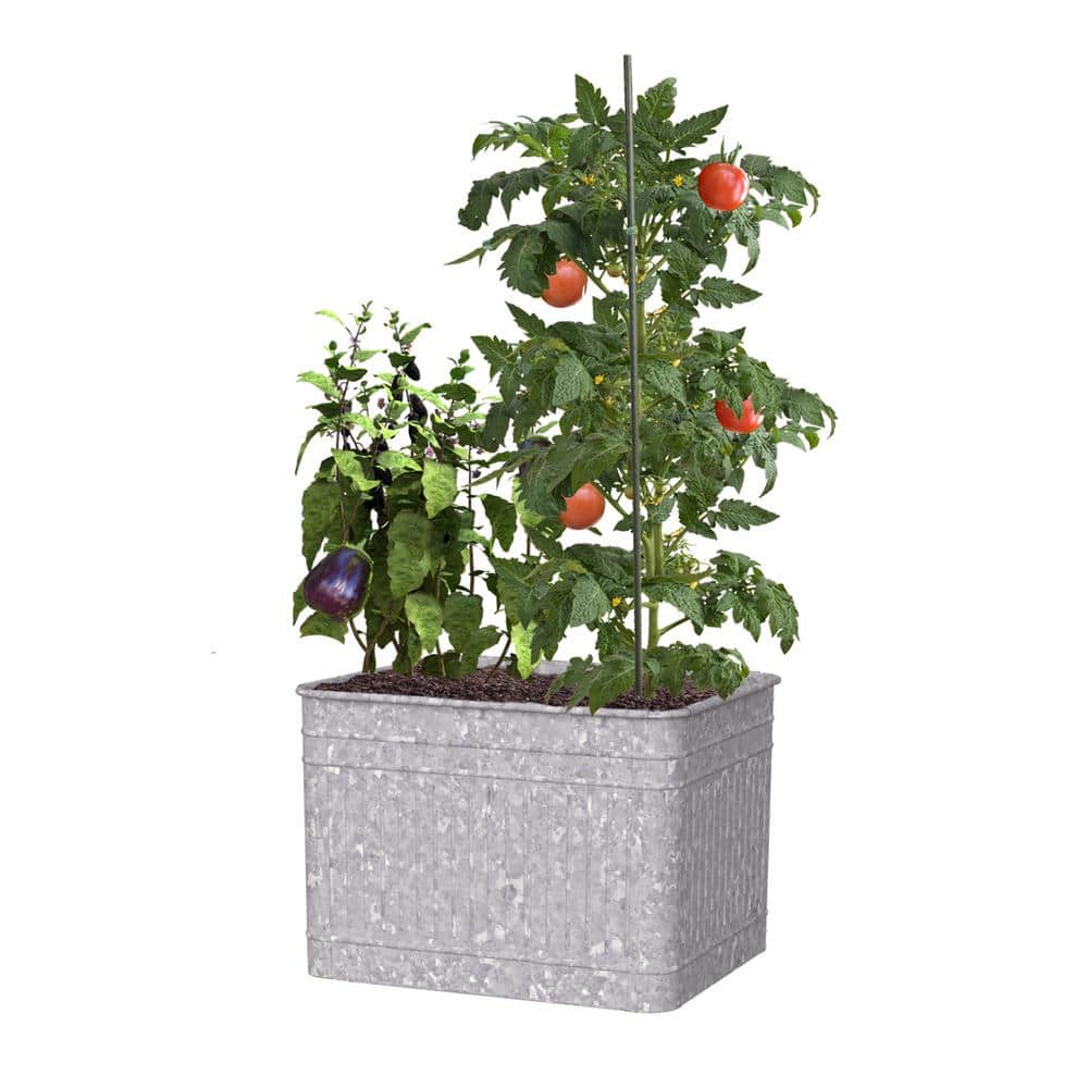 Galvanized Steel Square Raised Garden Bed Planter