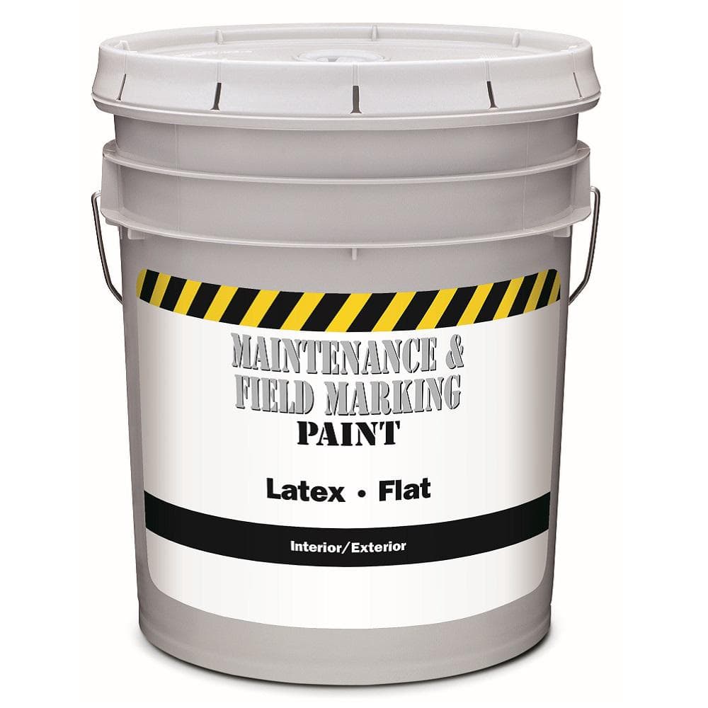 5 Gallon White Paint Top Sellers, 54% OFF | www.pegasusaerogroup.com