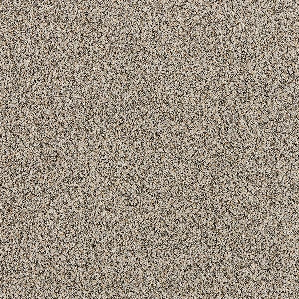 Home Decorators Collection Radiant Retreat I Moonlit Gray 47 oz. Polyester Textured Installed Carpet